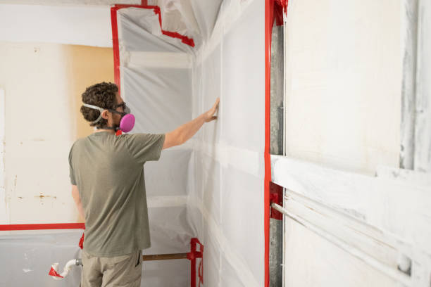 Best Mold Odor Removal Services  in Byng, OK