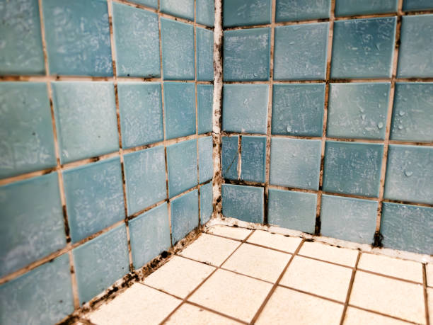 Best Water Damage & Mold Remediation  in Byng, OK